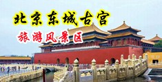 操骚逼操出水了中国北京-东城古宫旅游风景区